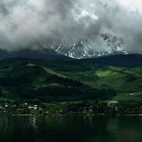 抖音-狐狸（桌面美化）