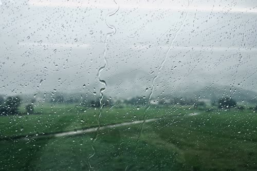 雨