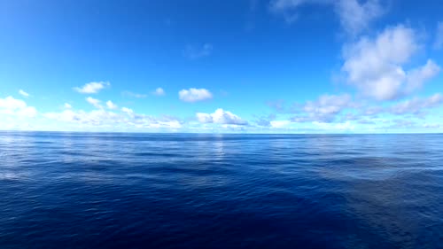 海
