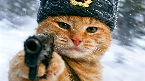 共和国战士猫