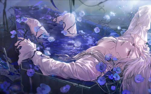 白荆回廊-棺中鸟