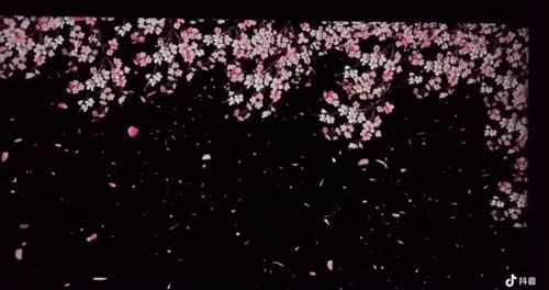 樱花动态